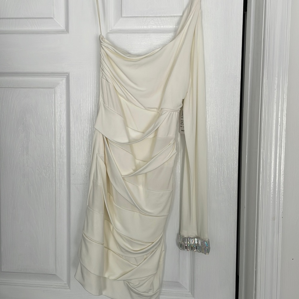 Windsor ivory colored dress